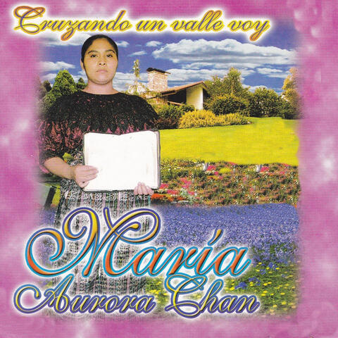 Cruzando un Valle Voy
