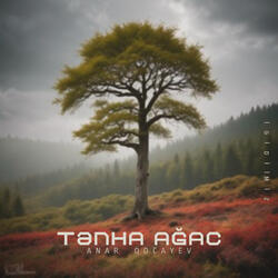 Tənha Ağac