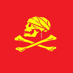 Bronxghanistan