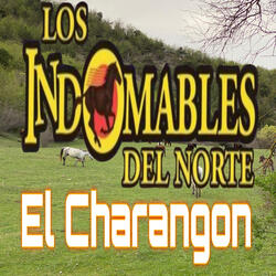 Estamos Parejos