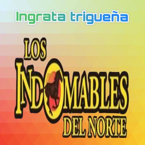 Ingrata Trigueña