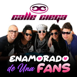 Enamorado de una Fans