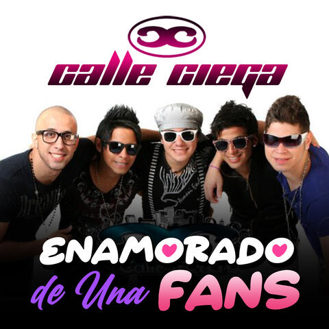 Enamorado de una Fans