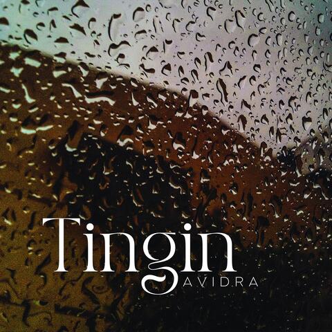 Tingin