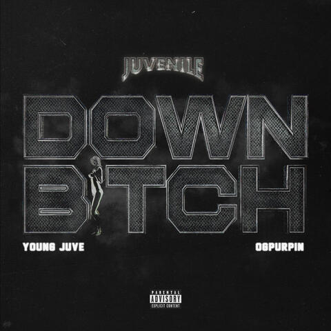 Down Bitch