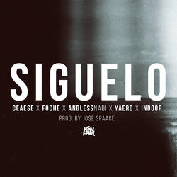 Siguelo