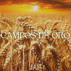 Campos de Oro