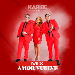 Mix Amor Vuelve  (La Negrita/Tanto Tanto Te Quiero/Corazón Sincero/Quiero Matarme/Como Quisiera/Apostemos Que Me Caso/Amor Vuelve