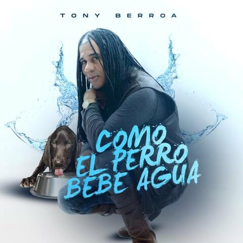 Como el Perro Bebe Agua