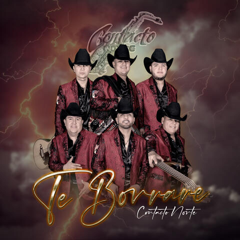 Te Borrare