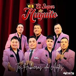Te Hubieras Ido Antes