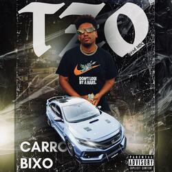 Carro Bixo