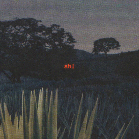 Sh!