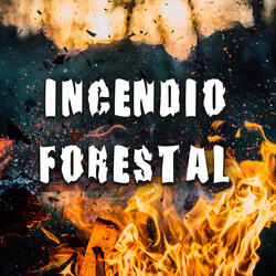 Incendio Forestal