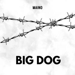 Big Dog