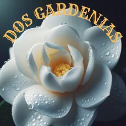 Dos Gardenias