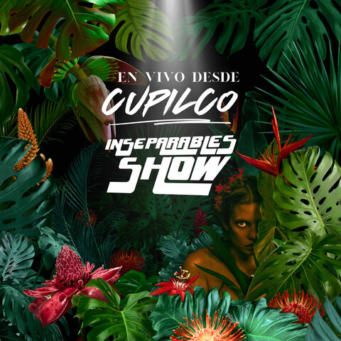 Desde Cupilco