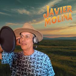 Llanero de Caballo