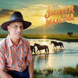 Donde Andaran los Llaneros