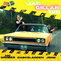 Jag Gillar Dig