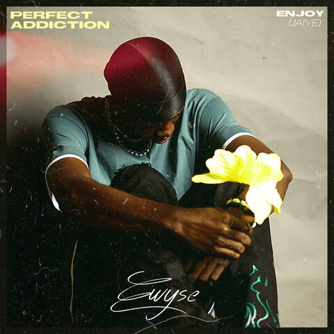 Perfect Addiction  /Enjoy (Jaiye)