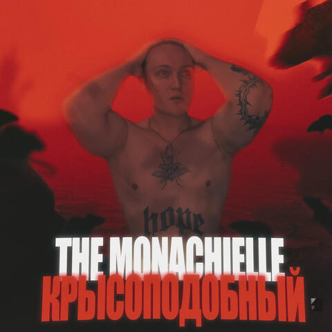 Крысоподобный