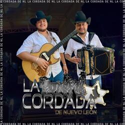 Como Tu Querer
