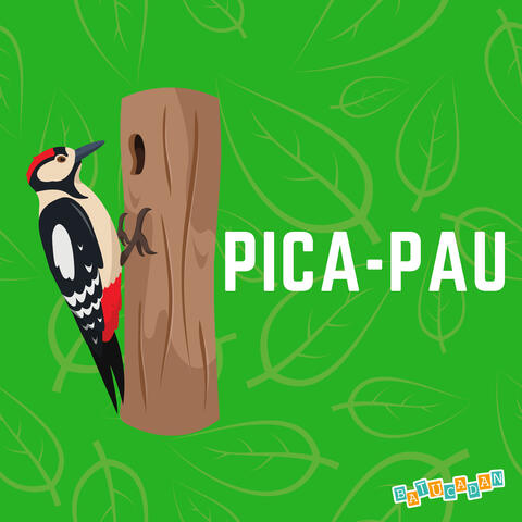 Pica-Pau