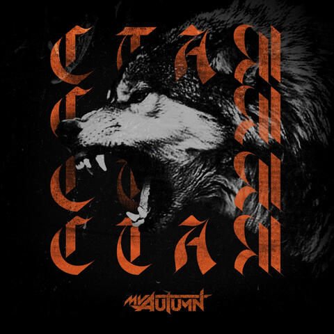 Стая