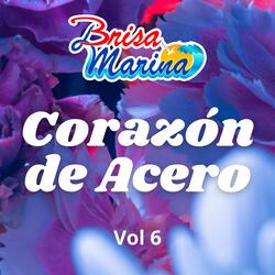 Corazón de Acero, Vol. 6