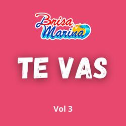 Te Vas, Vol. 3