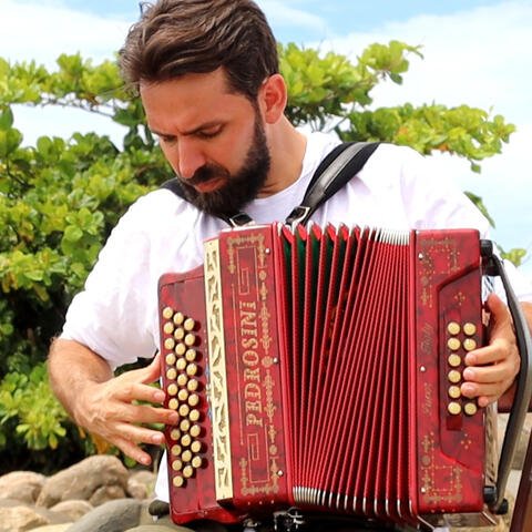 Concertina Concert