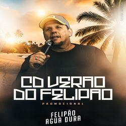 Vagabundo Que Você Perdeu