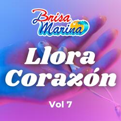 Llora Corazón, Vol 7