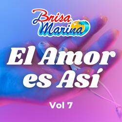 El Amor Es Así, Vol 7