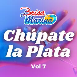 Chúpate la Plata, Vol 7