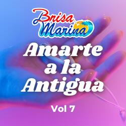 Amarte a la Antigua, Vol 7