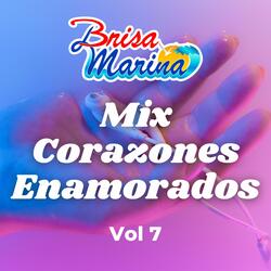 Corazones Enamorados: Que Dios Te Aleje de Mí / El Amor y la Felicidad / Tu Me Pides Que Te Olvide / Quien No Tiene una Ilusión / Que Te Pasa Corazón / El Amor Estuvo Aquí, Vol 7