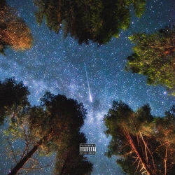 Shooting Star