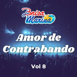 Amor de Contrabando, Vol. 8