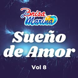 Sueño de Amor, Vol. 8