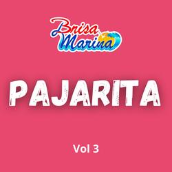 Pajarita, Vol. 3
