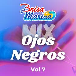 Ojos Negros / Poco a Poquito / Traguito de Ron / Dile / El Delincunte / Cariñito / Esta Cobardía, Vol 7