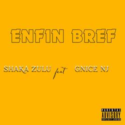 Enfin Bref