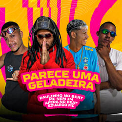 Parece uma Geladeira