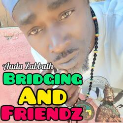 Bridging and Friendz