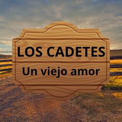 Un Viejo Amor