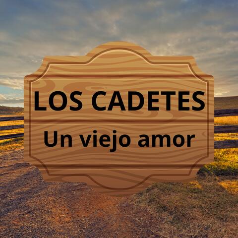 Un Viejo Amor
