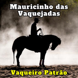 Zap Zap do Vaqueiro