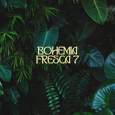 Bohemia Fresca 7